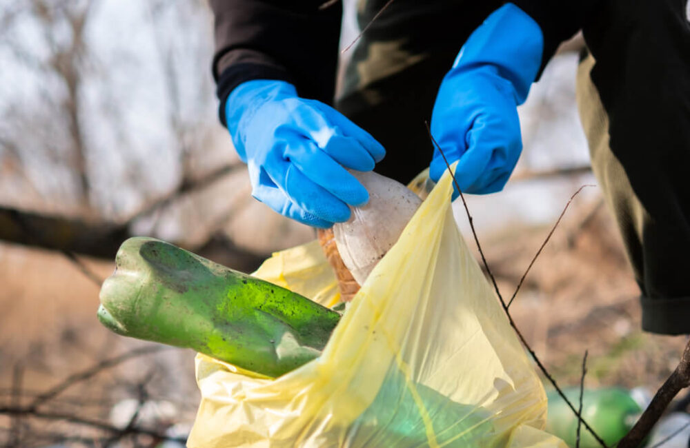 The Future of Waste Management and Recycling Solutions