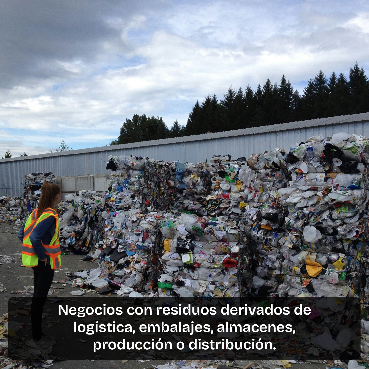 Alimentación y distribución